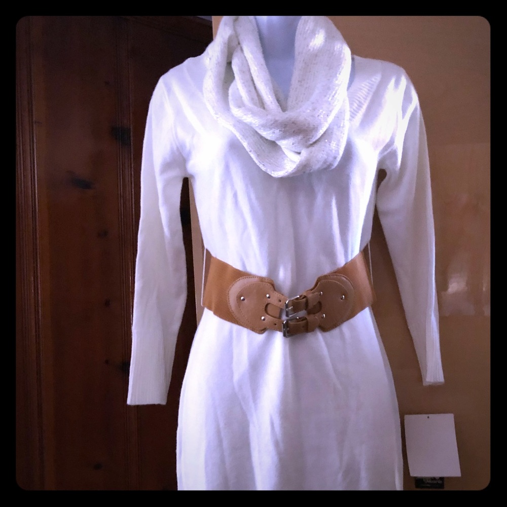 NWT sweater dress